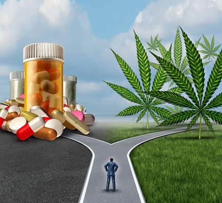 The Safety of Cannabinoids vs. Pharmaceuticals: A Comparative Analysis